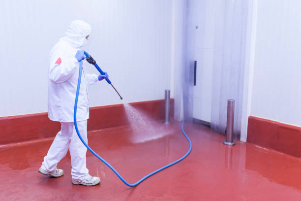 Boat and Dock Cleaning in Beulah, ND
